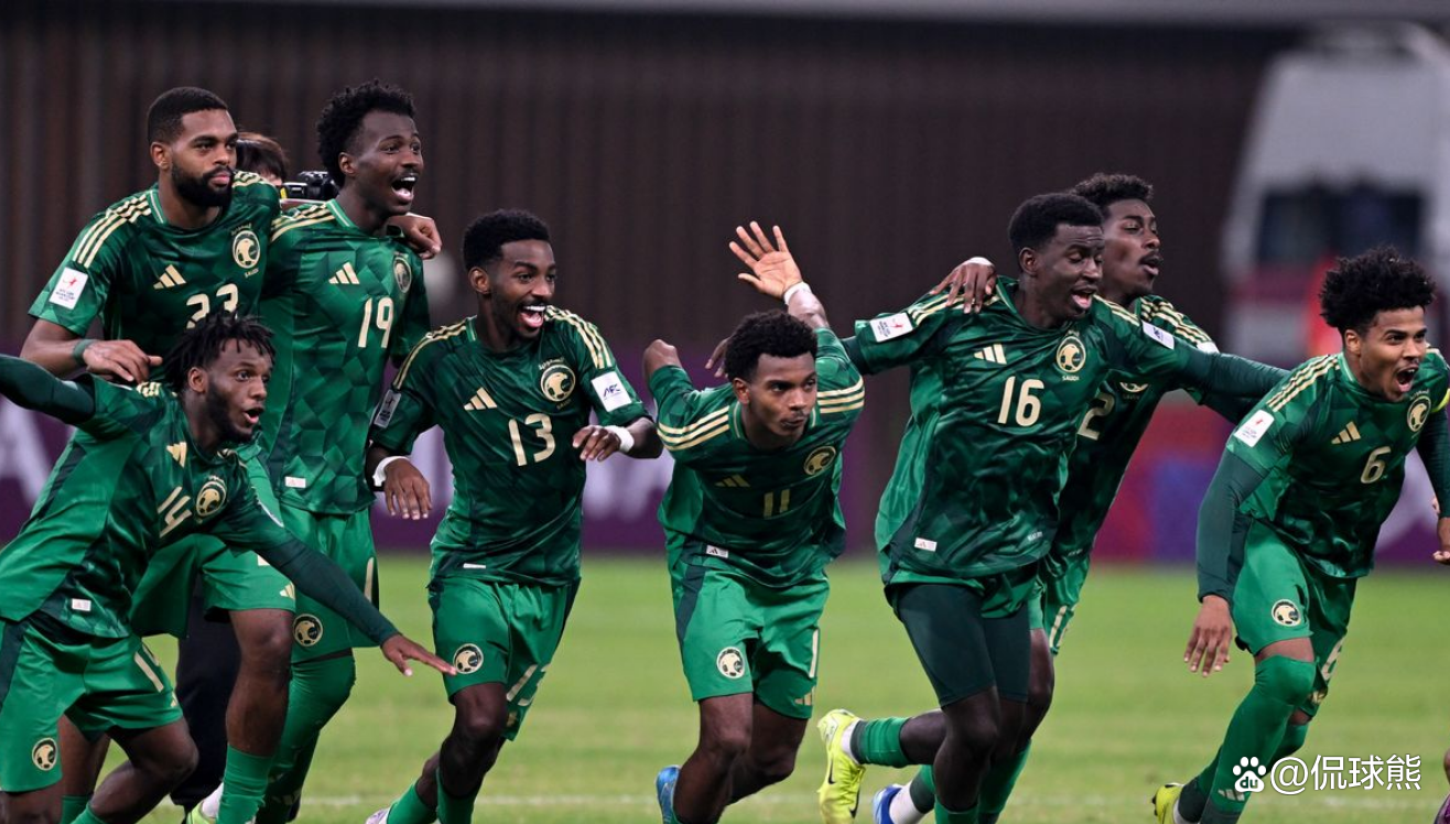 开云下载-关于澳大利亚球队遭遇连败，亚冠征程终结的信息