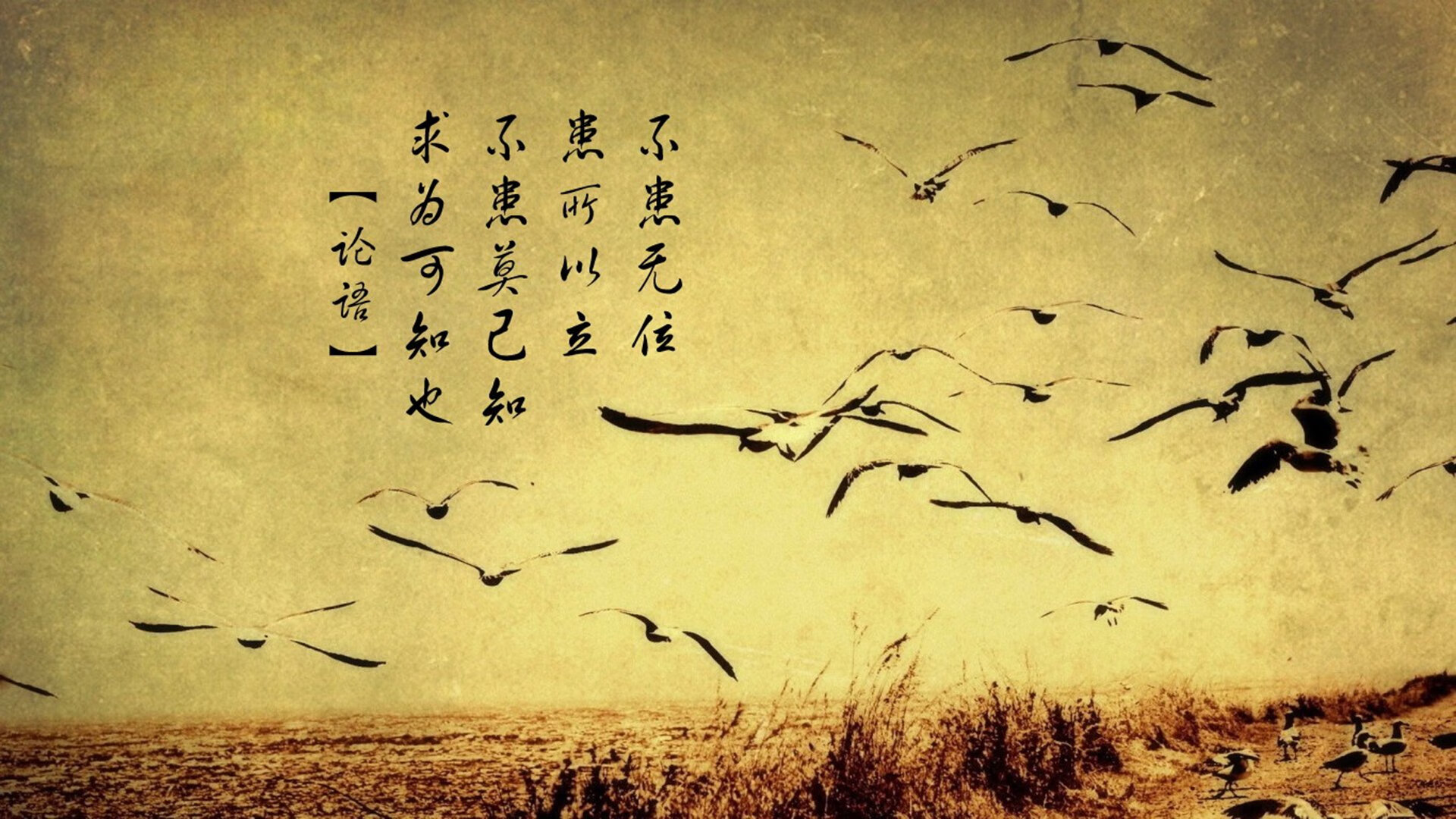 跨界传奇，当76人争冠战邂逅欧冠淘汰赛—詹姆斯与约基奇的时空交响曲