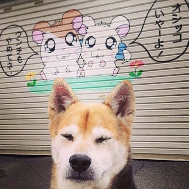 封锁线上的博弈，穆勒率英格兰铁幕战术冻结墨西哥，解锁小组赛关键胜利